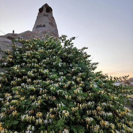 Apartman Pyrgi Artemis Place *