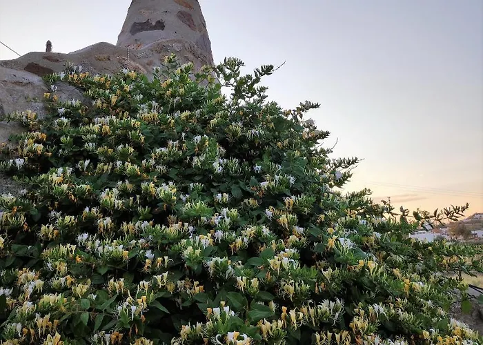 아파트 Pyrgi Artemis Place *